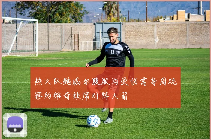 热火队鲍威尔腹股沟受伤需每周观察约维奇缺席对阵火箭